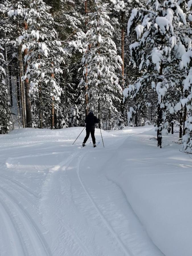 Nordic Character Pension Vidsel Buitenkant foto
